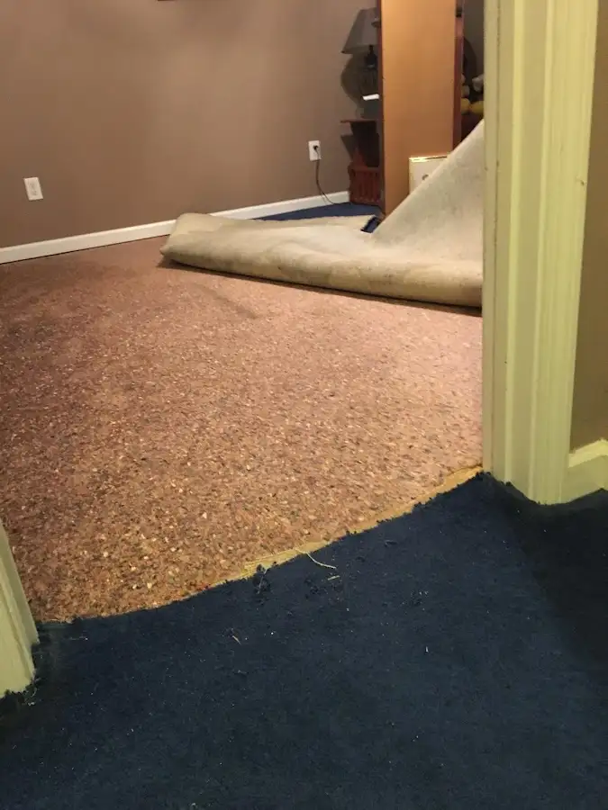 Carpet pad removal revealing water damage during Drying & Dehumidification in Southbridge Town
